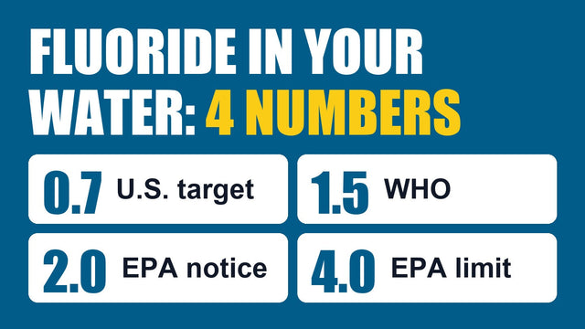 Fluoride in Drinking Water: What You Should Know (Expert Analysis)