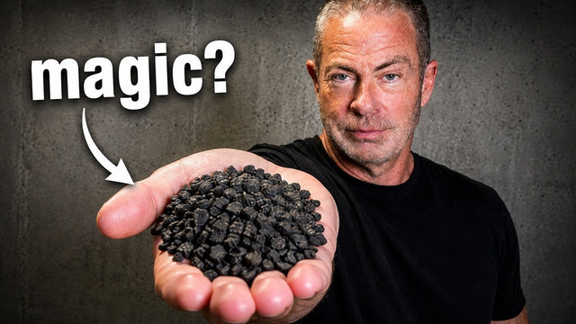 Katalox Light: Why It's the Only Iron Filter Media We Use After 32 Years