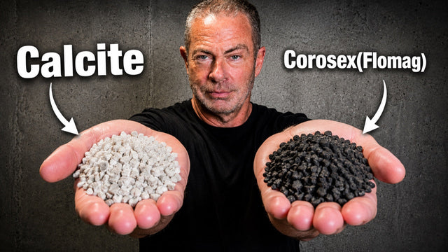 Calcite vs. Corosex (FloMag): Which Acid Neutralizer Media Do You Need?