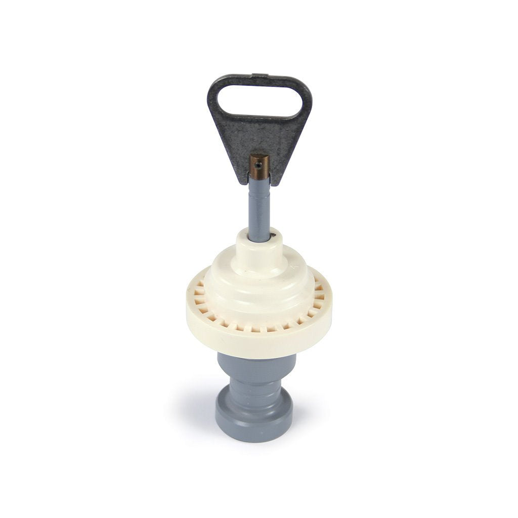 Fleck 5600 Piston Assembly Standard