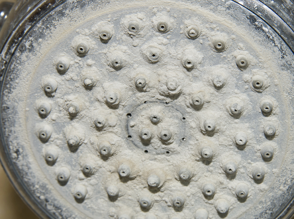 Shower head clogged with limescale